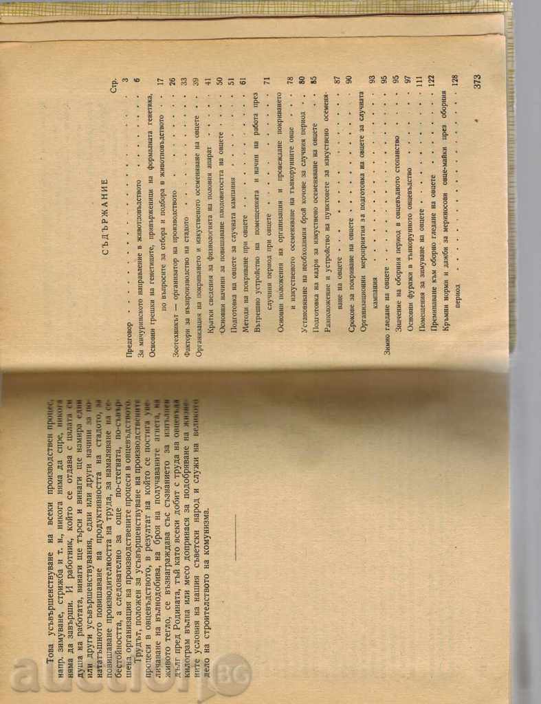ORGANIZATION AND TECHNOLOGY OF TUNNEL OVERVIEW-K.FILIAN - 6 ORGANIZATION AND TECHNOLOGY OF TUNNEL OVERVIEW-K.FILIAN - 6