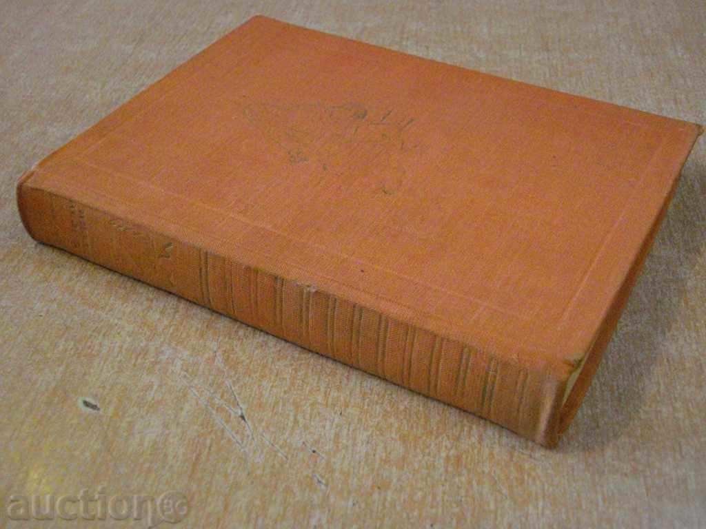 Book "Musorgsky - Osyp Chorny" - 318 pages - 5 Book "Musorgsky - Osyp Chorny" - 318 pages - 5