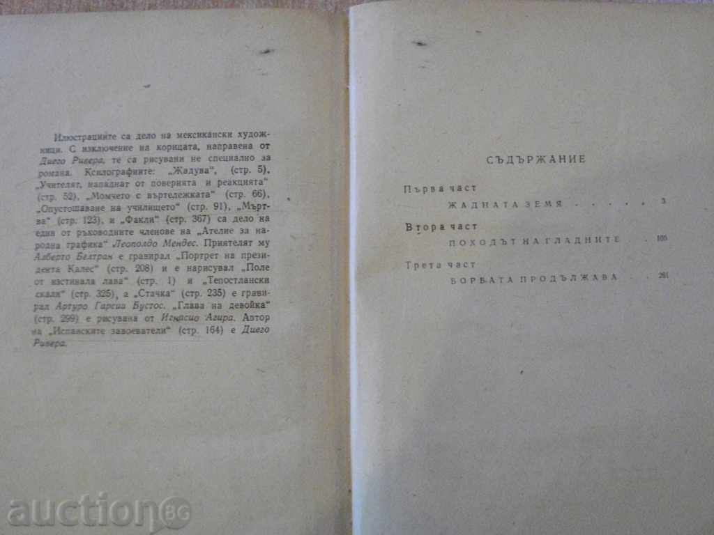 Delivery of Book "The Vulture Well - Norbert Fried" - 376 pages Delivery of Book "The Vulture Well - Norbert Fried" - 376 pages