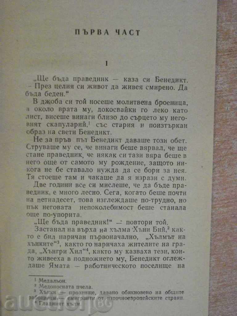 Book "The Burning Valley - Philip Bonoski" - 362 p. with price 4.00 BGN | € 2.05 Book "The Burning Valley - Philip Bonoski" - 362 p. with price 4.00 BGN | € 2.05