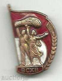 Rare badge of bronze-enamel