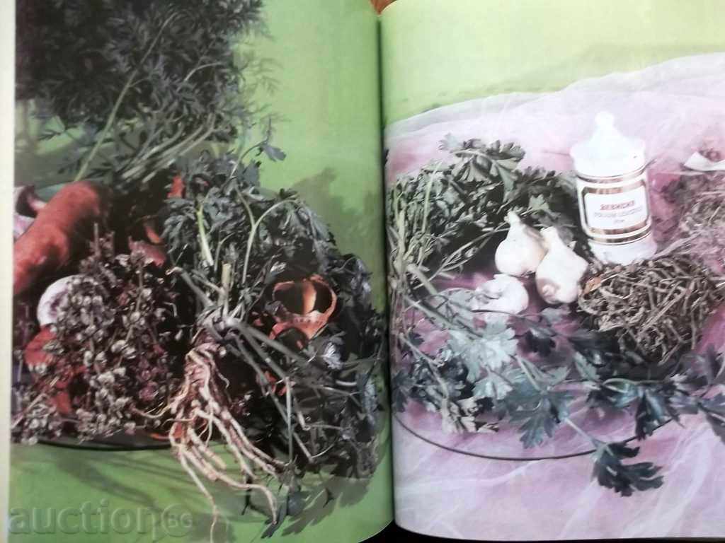 In the world of culinary art - Asen Chaushev 1991 - 7 In the world of culinary art - Asen Chaushev 1991 - 7