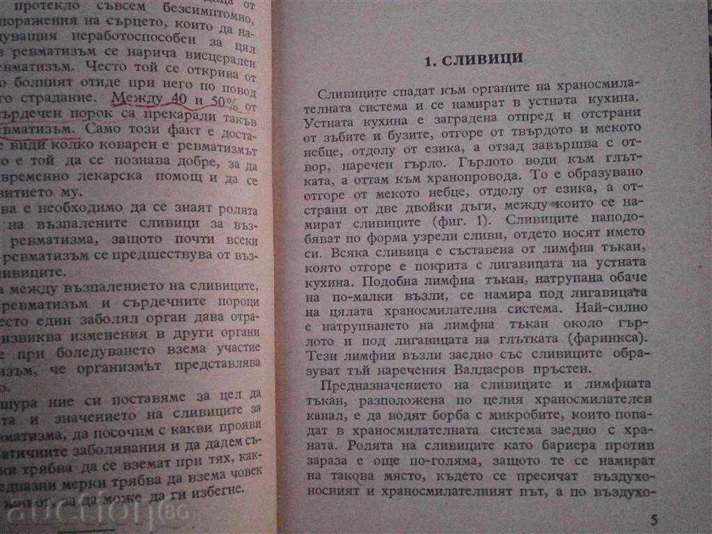 Delivery of REMATIZMUS AND CARDIOVASCULAR MIRRORS 1957