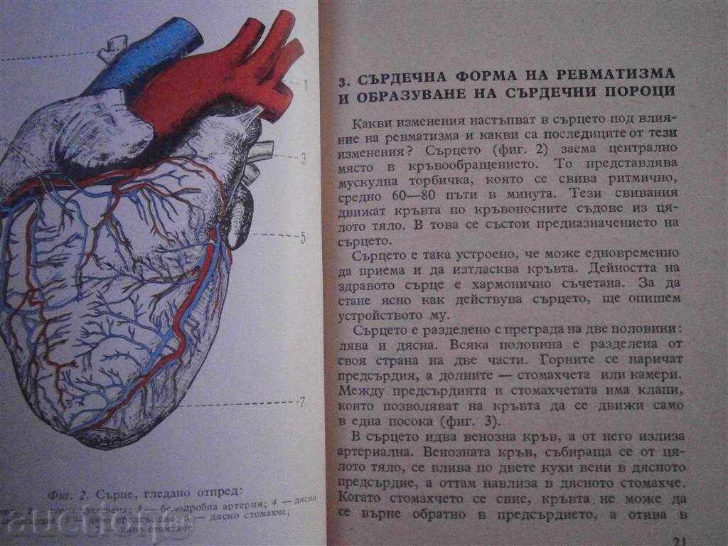 REMATIZMUS AND CARDIOVASCULAR MIRRORS 1957 - 5