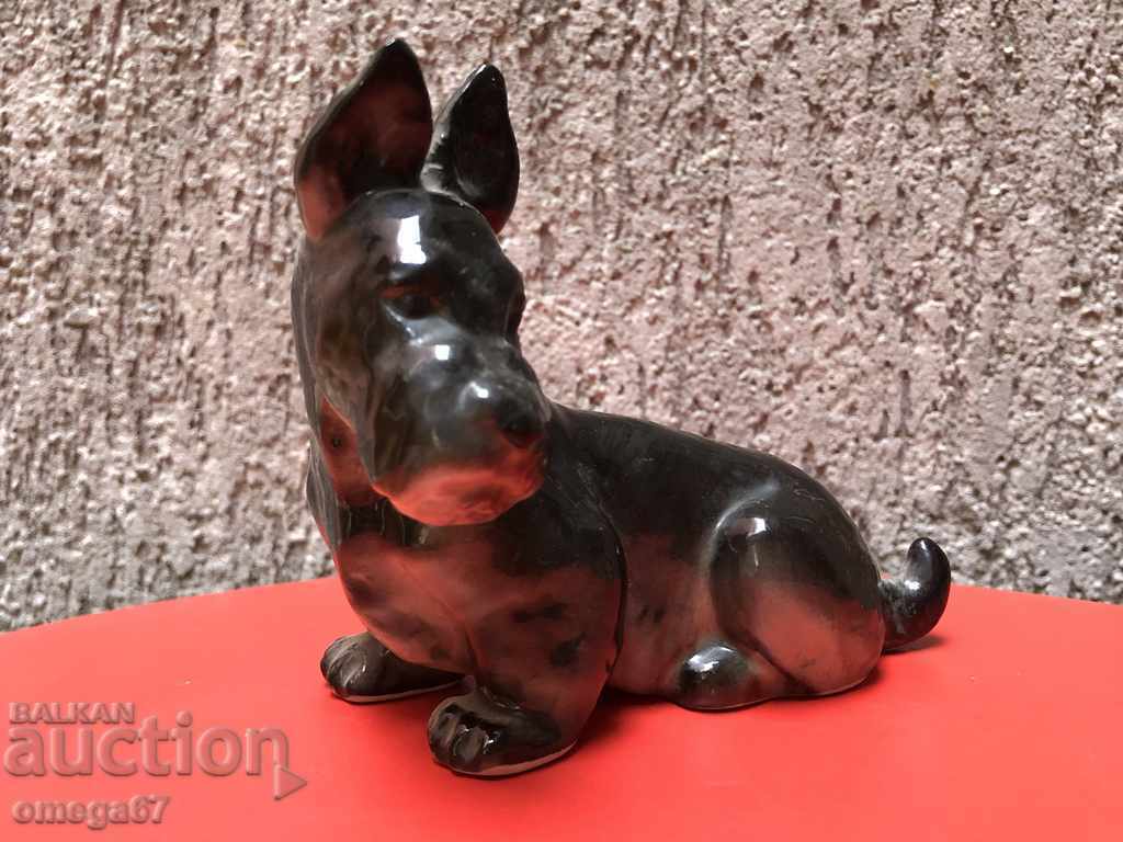 Porcelain figure of dog / Riesenauer with price 66.00 BGN | € 33.75 Porcelain figure of dog / Riesenauer with price 66.00 BGN | € 33.75