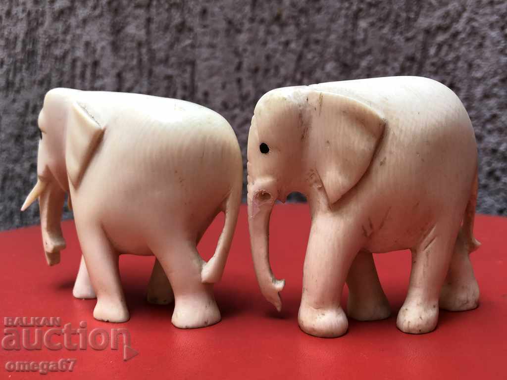 Ivory Lot /167 cm / 6 cm / with price 380.00 BGN | € 194.29 Ivory Lot /167 cm / 6 cm / with price 380.00 BGN | € 194.29