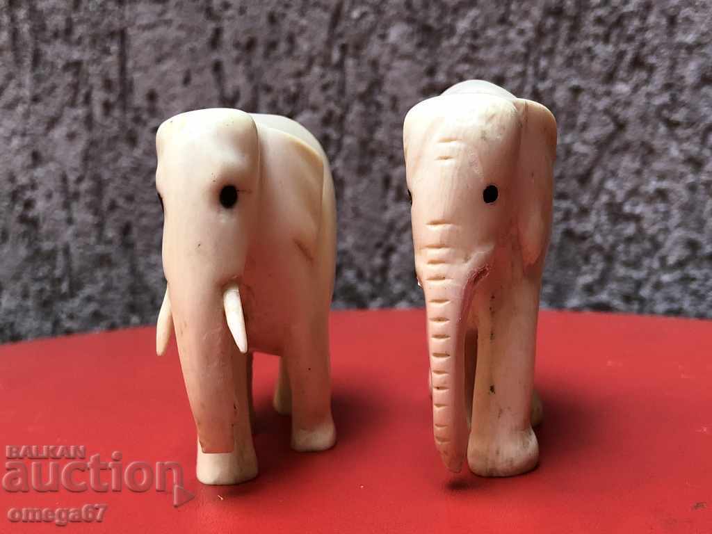 Auction Ivory Lot /167 cm / 6 cm / Auction Ivory Lot /167 cm / 6 cm /