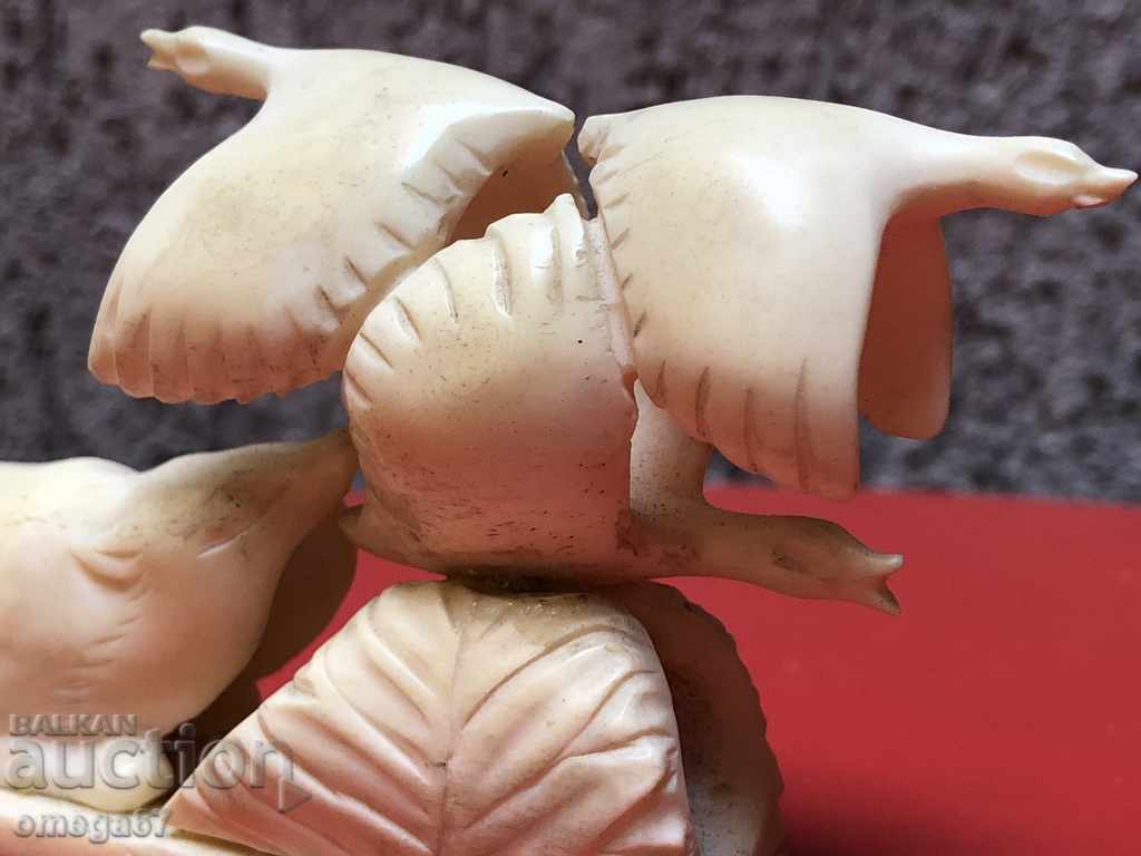 CHUKOTKA - sr. na XXv. - ZŬB OT MORZH - 5