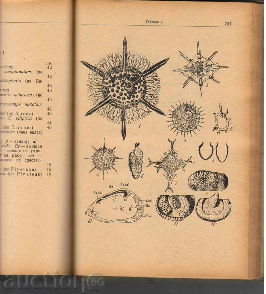 Guide to Microbiology - 5 Guide to Microbiology - 5