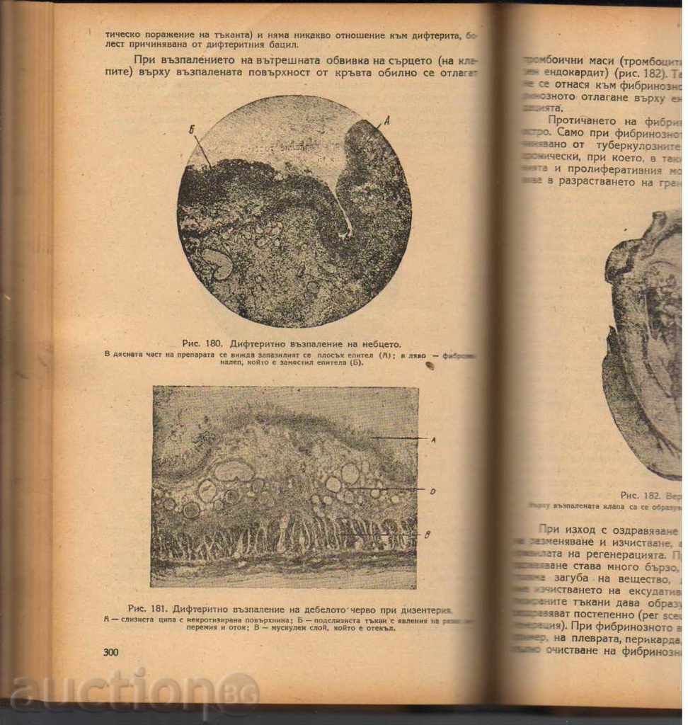 Delivery of Fundamentals of General Pathological Anatomy Delivery of Fundamentals of General Pathological Anatomy