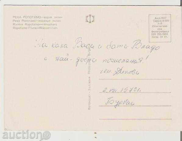 Map Bulgaria Ropotamo River 2 Water Lilies * with price 0.50 BGN | € 0.26