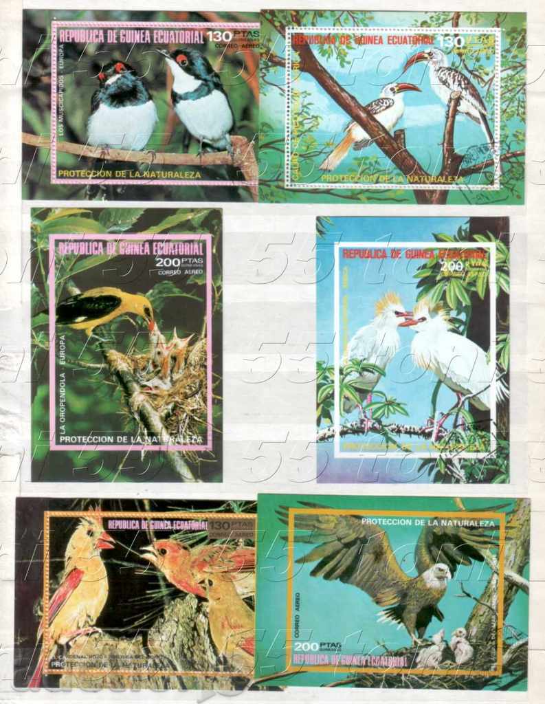 Equatorial Guinea 1970 6 Birds - Block stamped