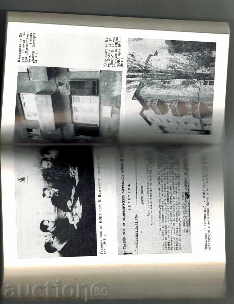 Auction  IN THE WEDDING REGION - PETER ILIEV