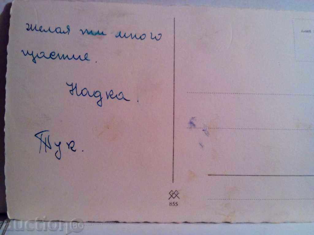 Auction STAR KARTIČKA Auction STAR KARTIČKA