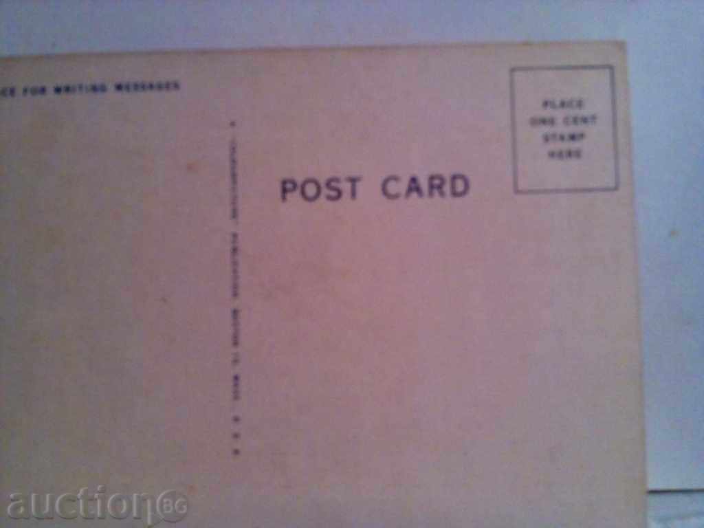 STAR KARTIČKA - 5 STAR KARTIČKA - 5