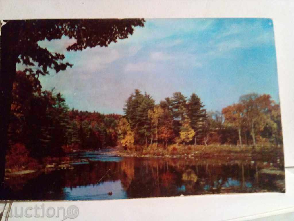 OLD CARD cu preț € 3.50 | 6.85 BGN