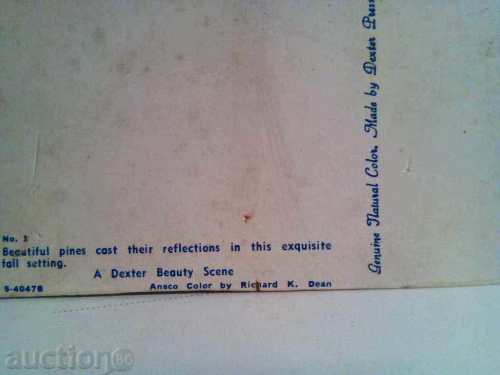 STAR KARTIČKA - 5 STAR KARTIČKA - 5