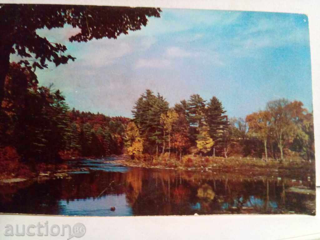 OLD CARD - 7