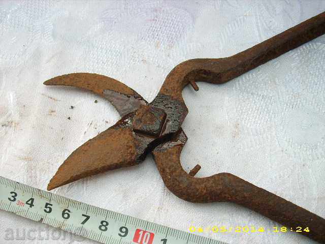 Auction Witch scissors Auction Witch scissors