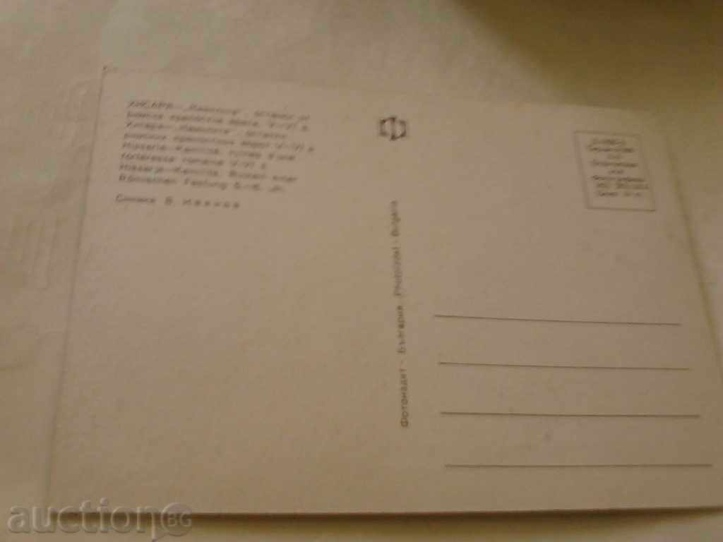Postcard Hissar Camels 1973 with price 0.45 BGN | € 0.23