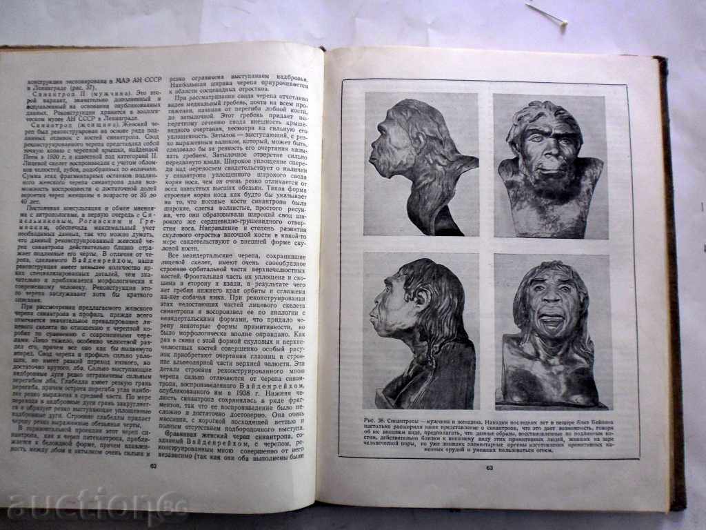 Auction RESTORATION OF PERSONS IN GRAPE-BASE - MM GERASIMOV Auction RESTORATION OF PERSONS IN GRAPE-BASE - MM GERASIMOV