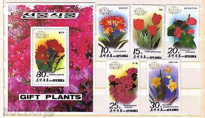 Coreea de Nord 1989 Flora -. Flori 5m + Bloc
