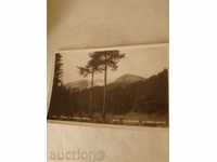 Καρτ ποστάλ βουνό Πίριν Kutelo 2190 m