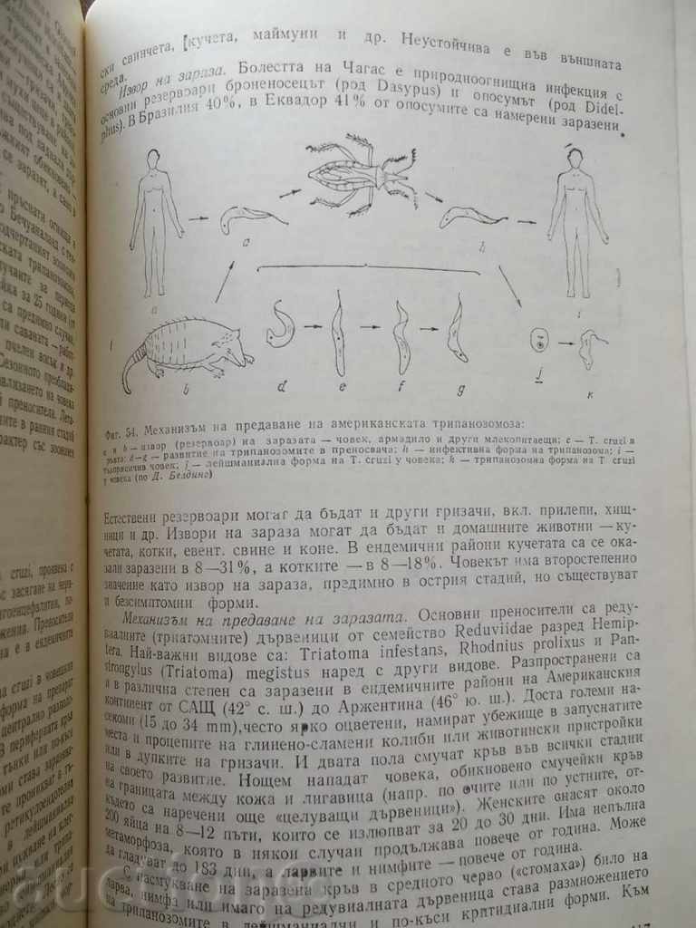 Epidemiology - D. Bratovacov, E. Gubev, K. Kuzmanov with price 10.00 BGN | € 5.11 Epidemiology - D. Bratovacov, E. Gubev, K. Kuzmanov with price 10.00 BGN | € 5.11