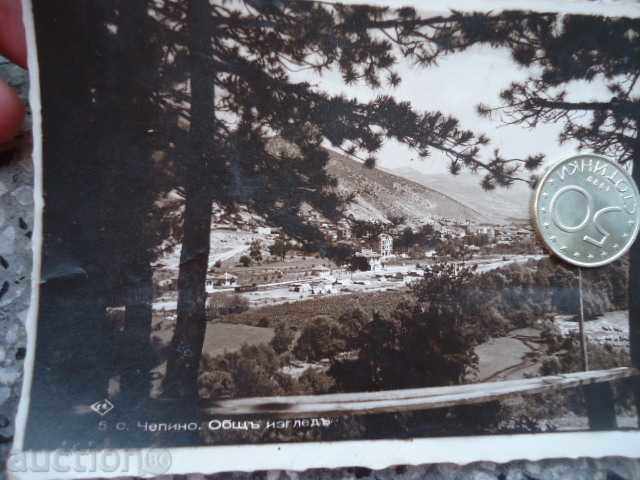 Auction Chepino Card - General View 1938 Auction Chepino Card - General View 1938