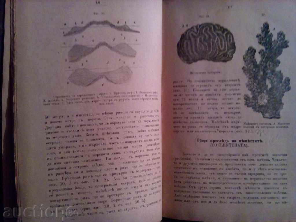 ZOOLOGY TUTORIAL with price 30.00 BGN | € 15.34 ZOOLOGY TUTORIAL with price 30.00 BGN | € 15.34