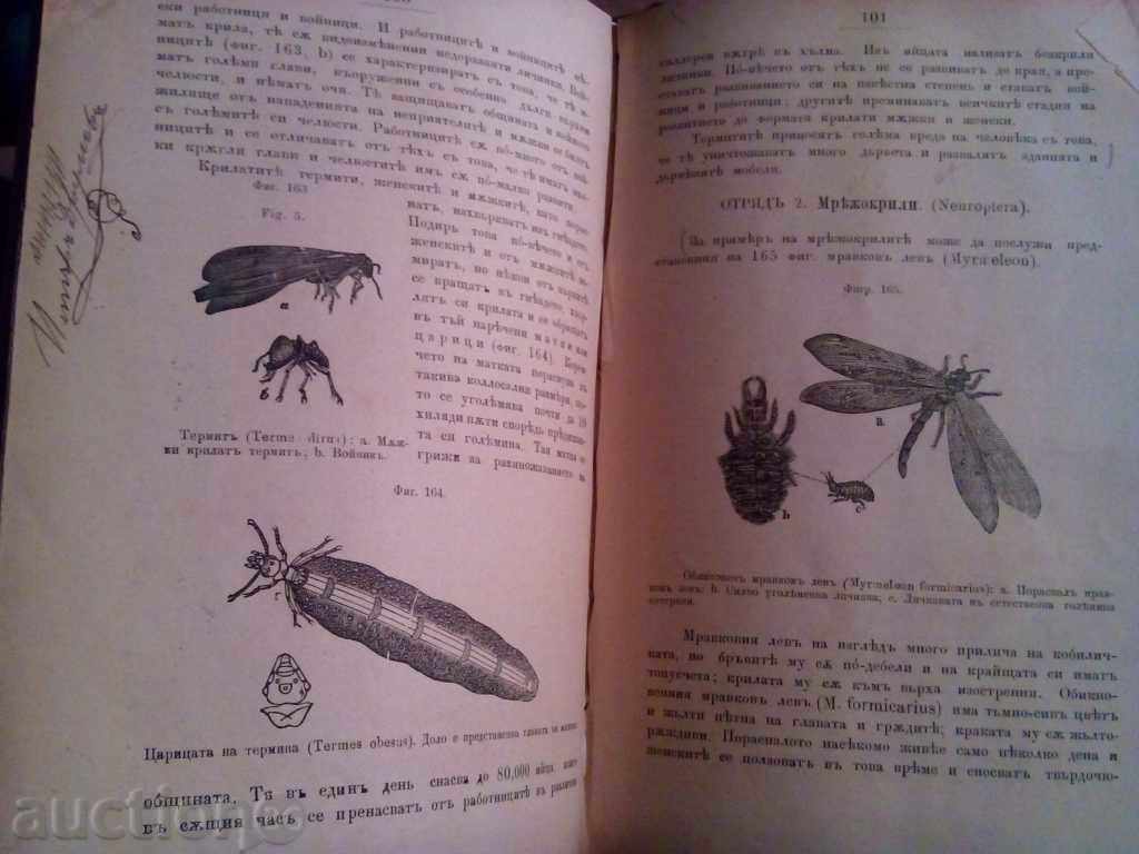 ZOOLOGY TUTORIAL - 5 ZOOLOGY TUTORIAL - 5