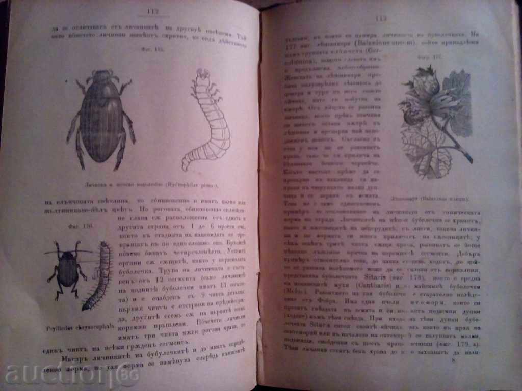 ZOOLOGY TUTORIAL - 6 ZOOLOGY TUTORIAL - 6