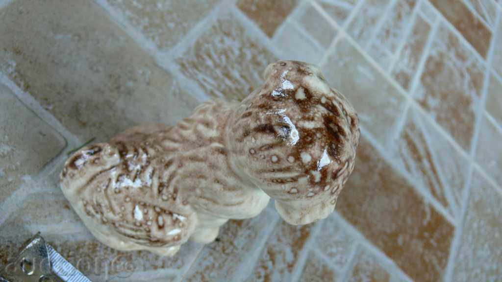 DOG with price 10.00 BGN | € 5.11