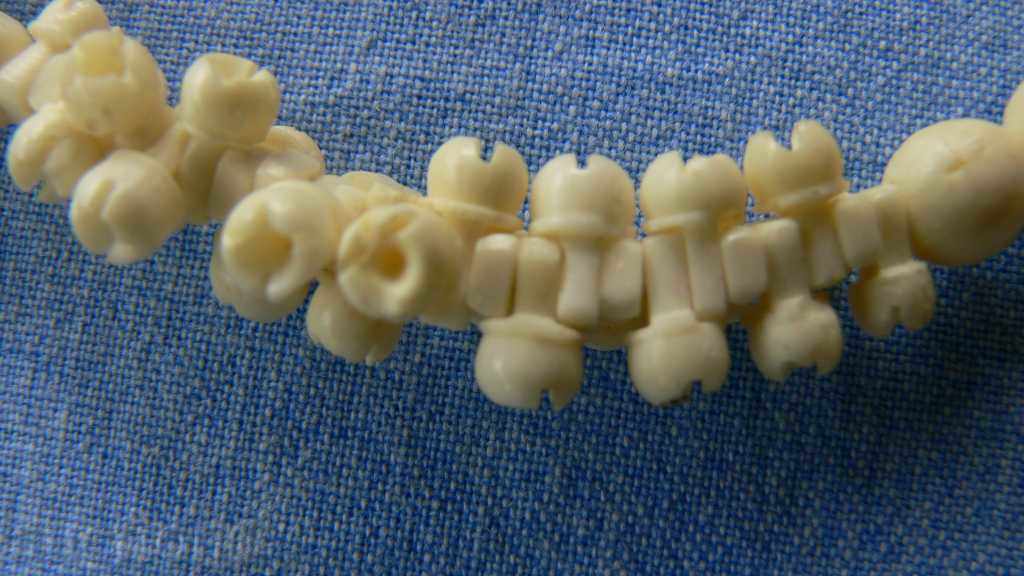 IVORY with price 80.00 BGN | € 40.90 IVORY with price 80.00 BGN | € 40.90