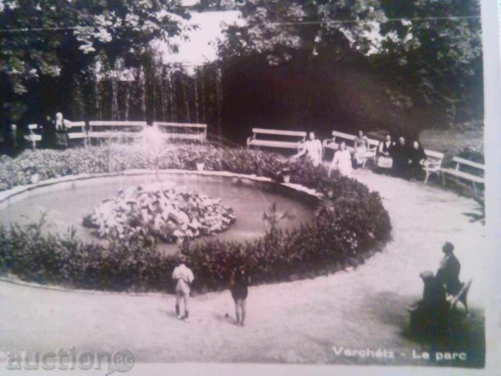 Auction STARA CARTICHKA-VARSHETZ-KAT FROM PARK Auction STARA CARTICHKA-VARSHETZ-KAT FROM PARK