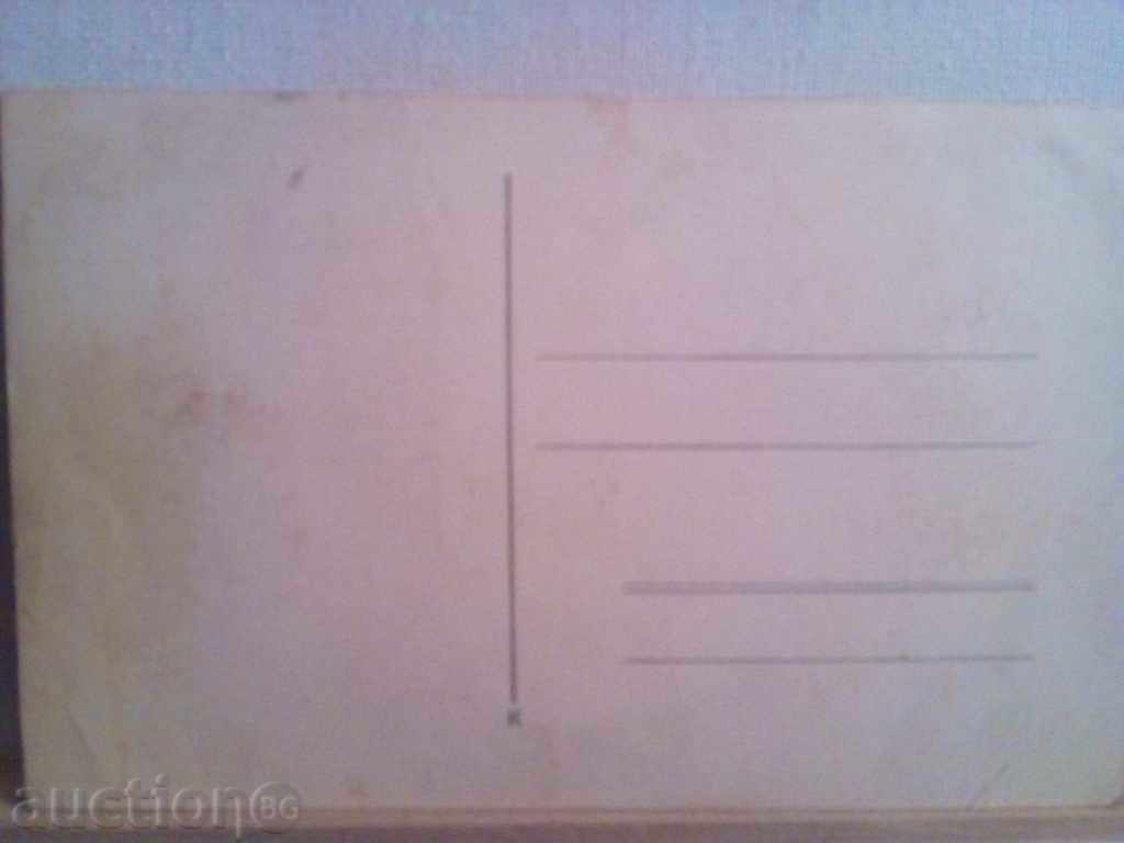 Auction STAR KARTIČKA Auction STAR KARTIČKA