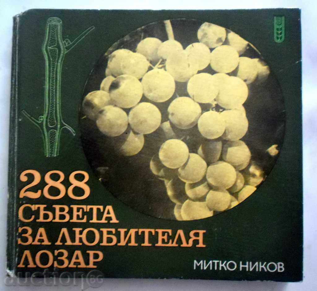 Delivery of 700 ADVICE FOR THE LOVE FOOTWEAR - 288 THE LOVE BOARD Delivery of 700 ADVICE FOR THE LOVE FOOTWEAR - 288 THE LOVE BOARD