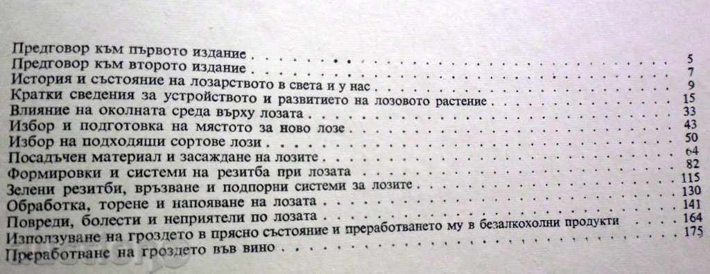 700 ADVICE FOR THE LOVE FOOTWEAR - 288 THE LOVE BOARD - 5 700 ADVICE FOR THE LOVE FOOTWEAR - 288 THE LOVE BOARD - 5