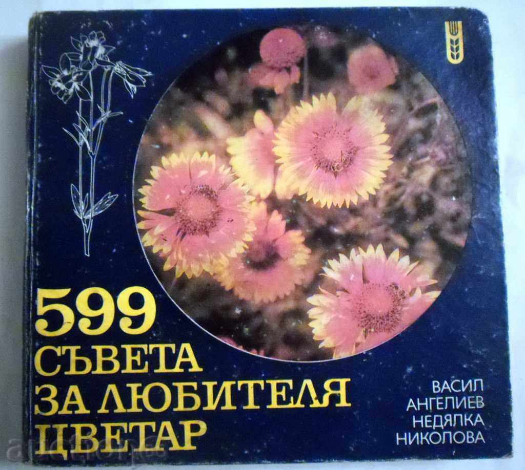 700 ADVICE FOR THE LOVE FOOTWEAR - 288 THE LOVE BOARD - 6 700 ADVICE FOR THE LOVE FOOTWEAR - 288 THE LOVE BOARD - 6