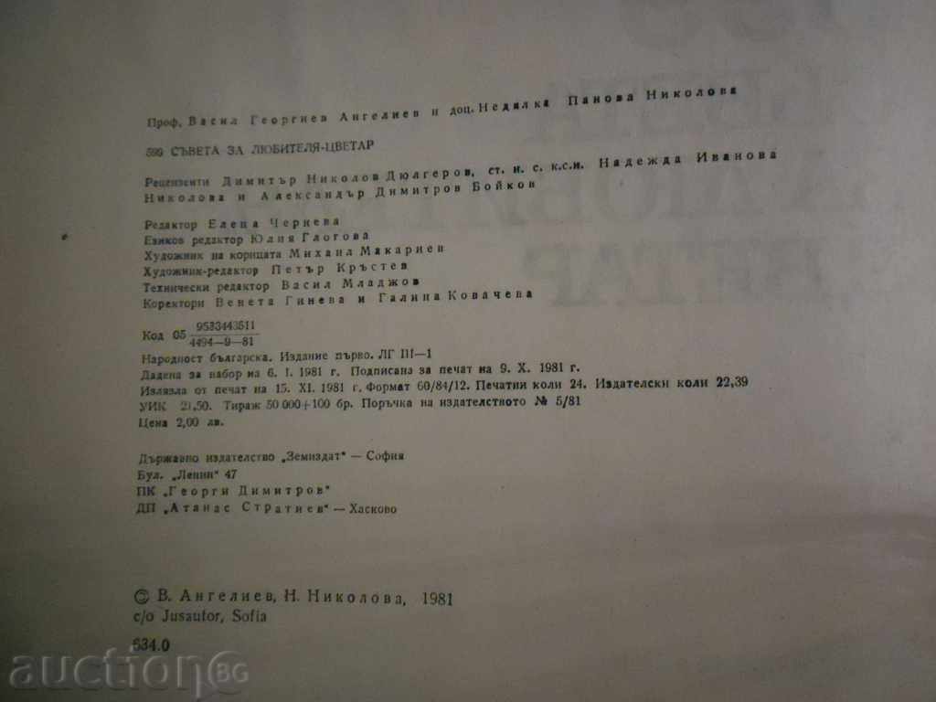 700 ADVICE FOR THE LOVE FOOTWEAR - 288 THE LOVE BOARD - 7 700 ADVICE FOR THE LOVE FOOTWEAR - 288 THE LOVE BOARD - 7