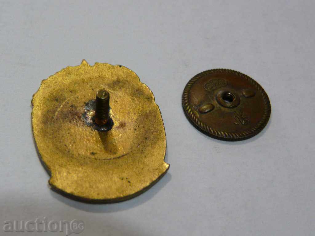 Delivery of Rare Awarded Sign - Distinction for Chitalishte Activity (Gold) Delivery of Rare Awarded Sign - Distinction for Chitalishte Activity (Gold)