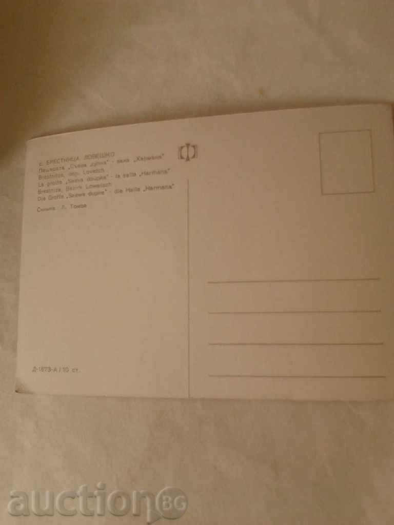 Postcard Brestnitsa Sueva Dupka Cave Harman Hall with price 0.45 BGN | € 0.23 Postcard Brestnitsa Sueva Dupka Cave Harman Hall with price 0.45 BGN | € 0.23