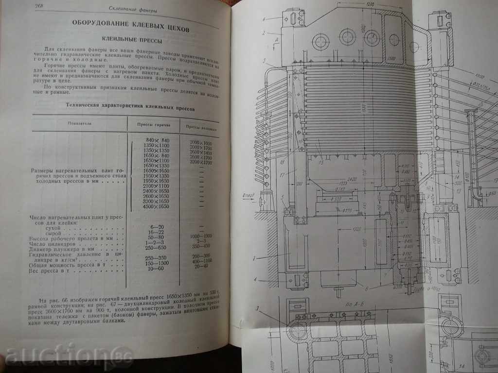 Auction  Fingertips Guide