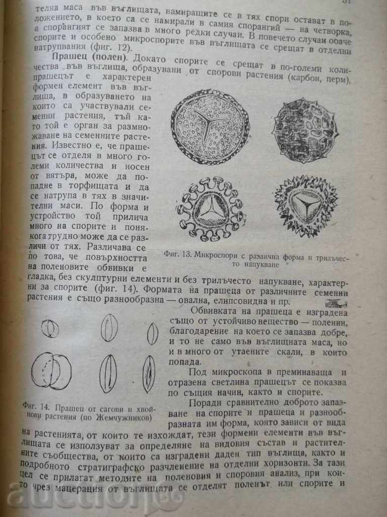Auction Fundamentals of Coal Geology - Stefan Zafirov 1962 Auction Fundamentals of Coal Geology - Stefan Zafirov 1962