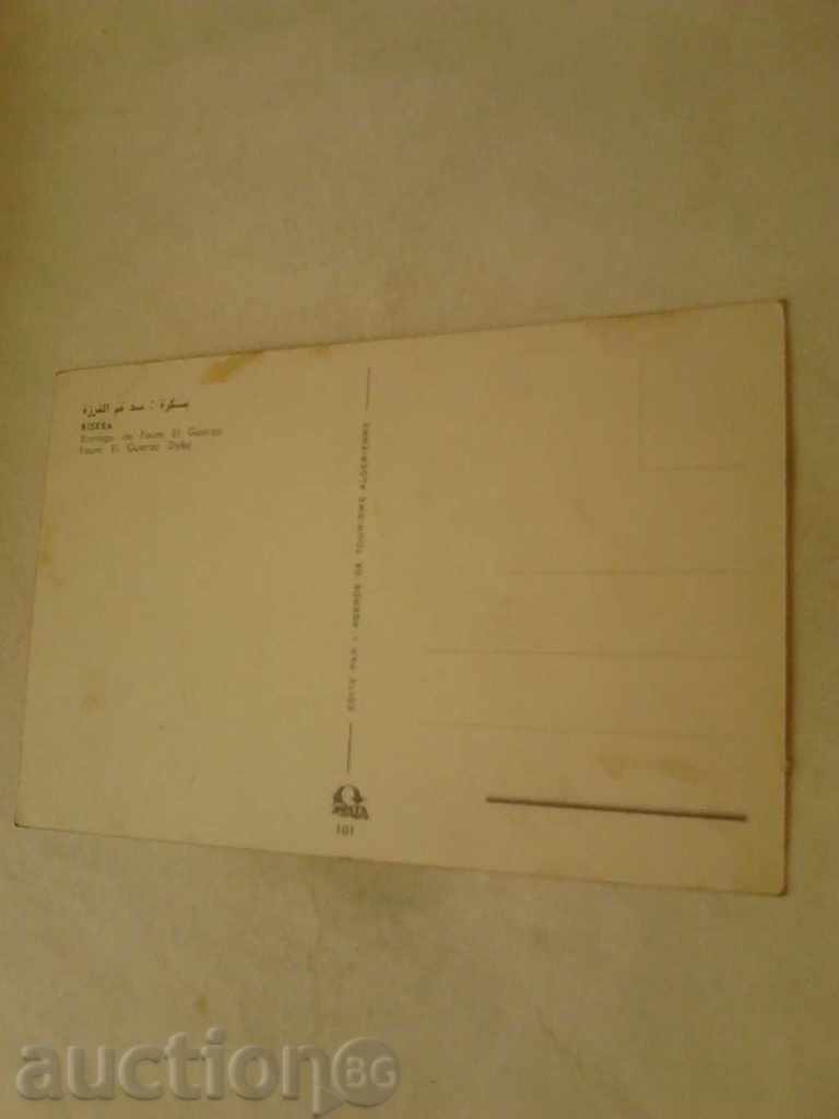 Postcard Biskra with price 0.45 BGN | € 0.23 Postcard Biskra with price 0.45 BGN | € 0.23