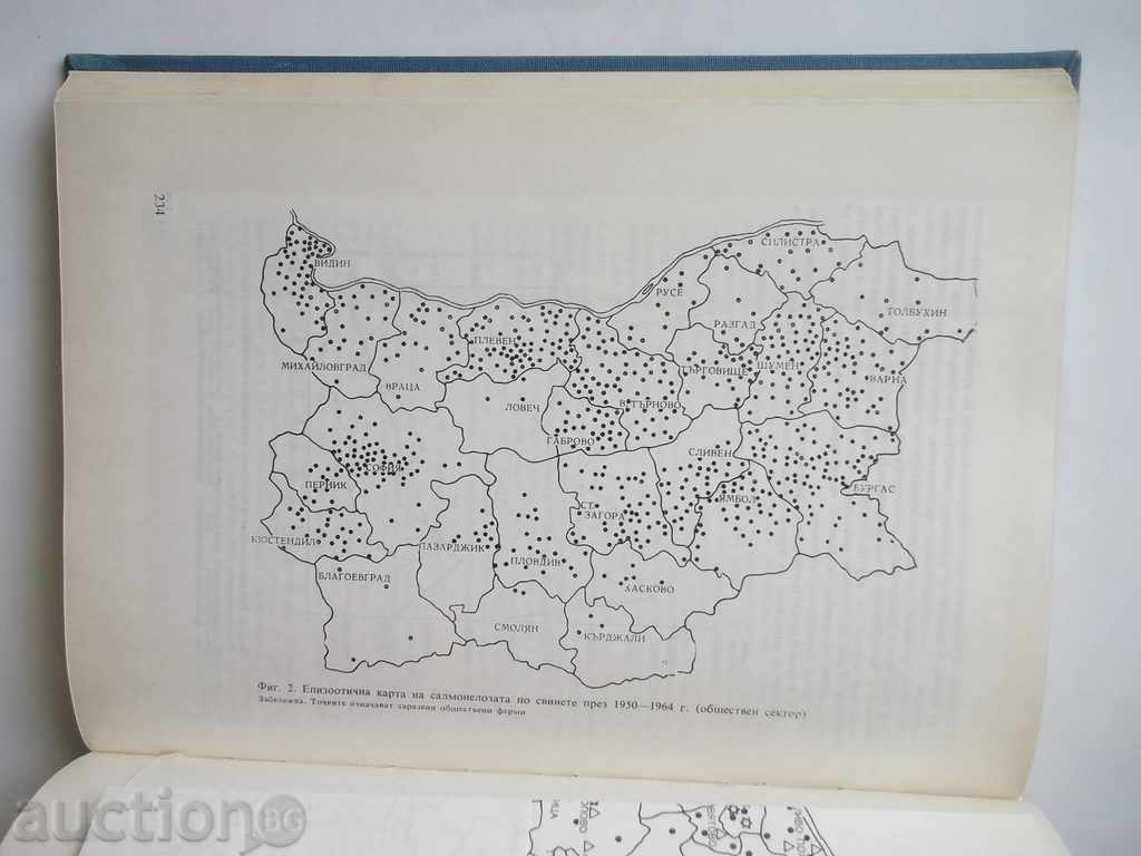 Auction Salmonella and salmonellosis in Bulgaria 1974 Auction Salmonella and salmonellosis in Bulgaria 1974