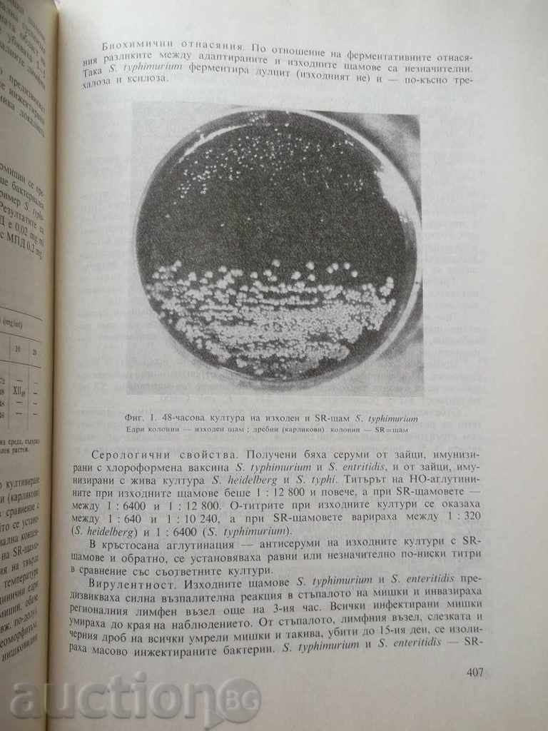 Salmonella and salmonellosis in Bulgaria 1974 - 5 Salmonella and salmonellosis in Bulgaria 1974 - 5