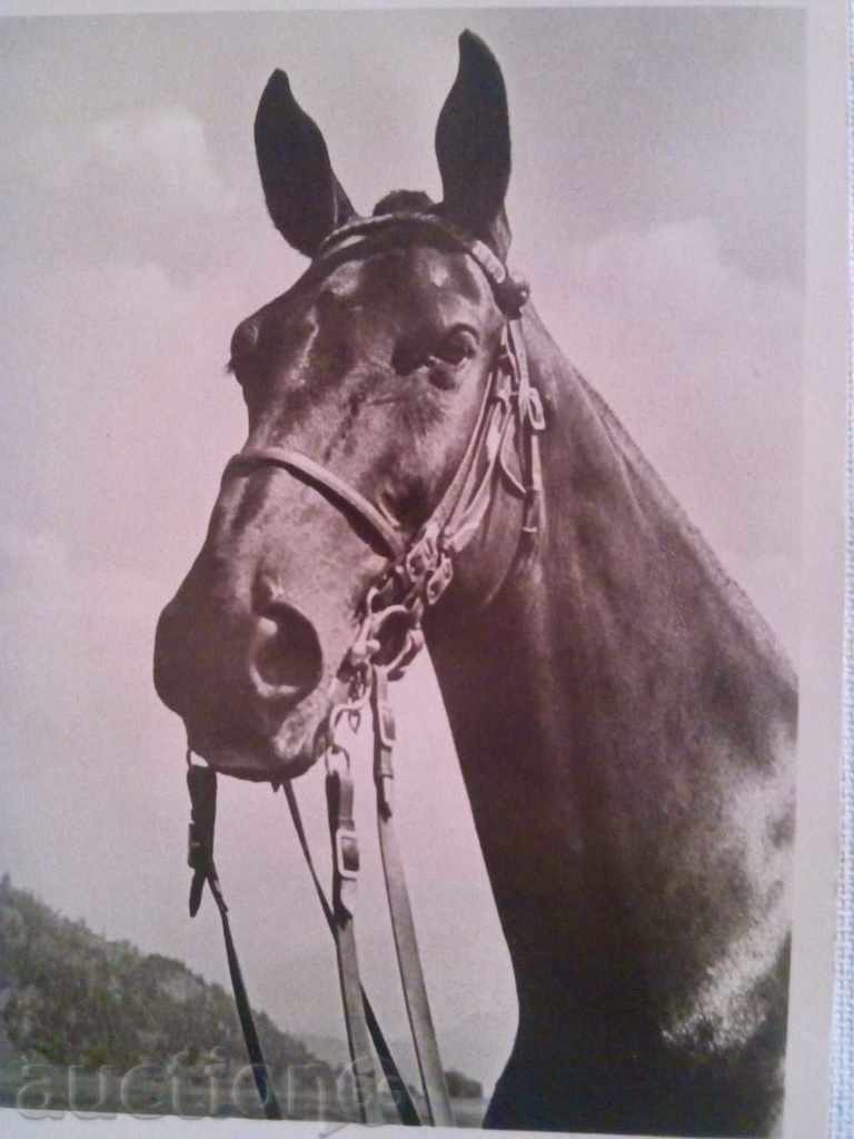 STARA CARTICHKA-1940г. with price 7.00 BGN | € 3.58 STARA CARTICHKA-1940г. with price 7.00 BGN | € 3.58