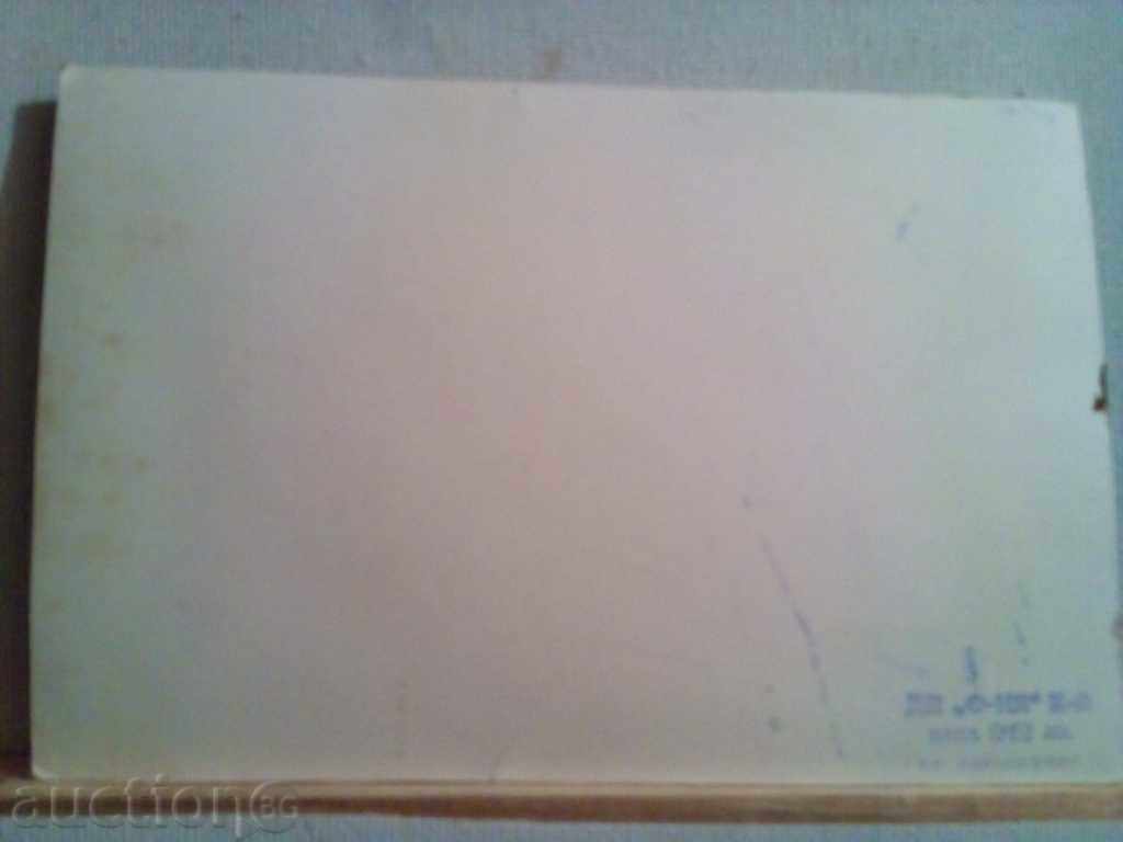 Auction  STAR KARTIČKA