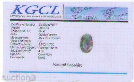 Δημοπρασία ΤΕΡΑΣΤΙΑ ΟΡΚΩΤΟΙ SAPPHIRE Δημοπρασία ΤΕΡΑΣΤΙΑ ΟΡΚΩΤΟΙ SAPPHIRE